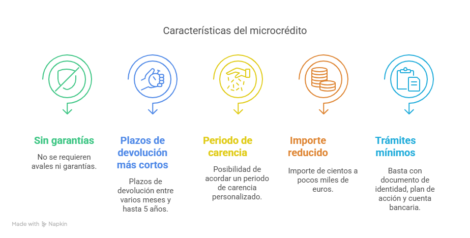Características de los microcréditos